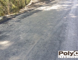 TPMS NZ