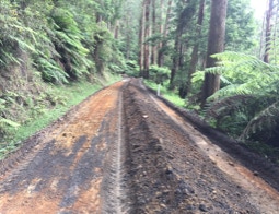 Maintain Haul Roads 